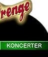 KONCERTER